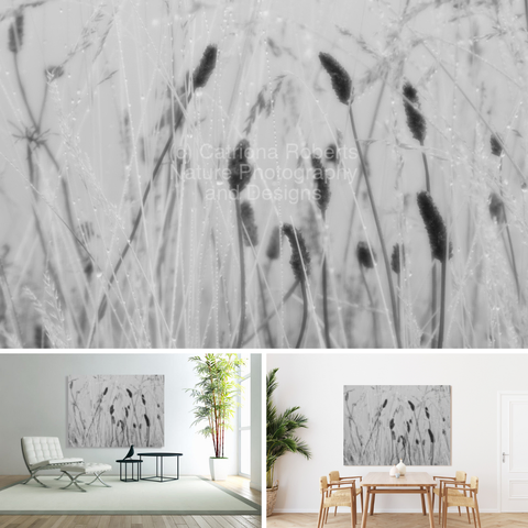 Above Monochrome photograph featuring the design- Scottish Highlands Dew-Kissed Grasses. 

Lower left design on a Canvas Print on a wall beside a chair. 

Lower right design on a Canvas Print on a wall above a dinning table.

I took this photo during wet, misty autumnal morning in the Scottish Highlands. 

Features morning dew clinging to tall grasses, casting a serene and delicate mood. 

The monochrome palette enhances the subtle details of the scene. 

Mockups combined in a grid format in canva.com 

Click links on the main post for options.




