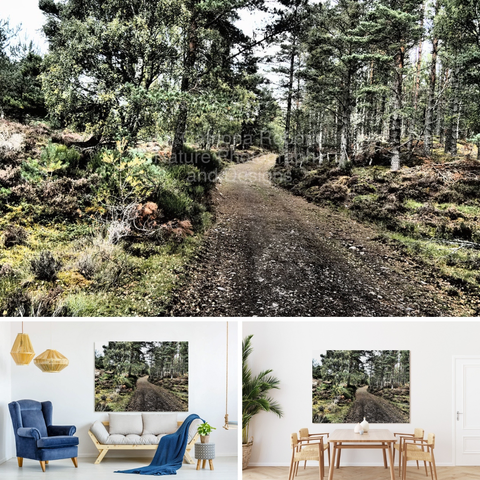Above coloured photograph featuring the design- 

Following the Path through the Scottish Highlands. 

Lower left design on a Canvas Print on a wall a couch. 

Lower right design on a Canvas Print on a wall above a dinning table.

 I took this photo, using a creative photographic filter, during a lovely autumnal nature walk through the Scottish Highlands. 

Features a winding dirt path cutting through a lush Birch forest, surrounded by dense, green foliage. 

The light filters softly through the trees, creating a serene and natural landscape. 

Mockups combined in a grid format in canva.com

Click links on the main post for options.

