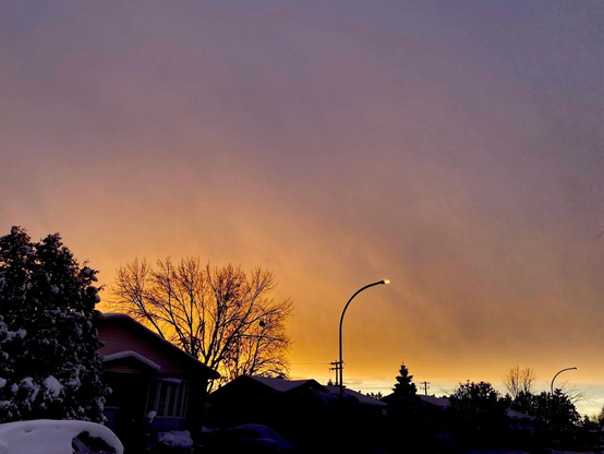 A striking golden sunset, clouds gold close to the horizon and turning to purple as they go up. 