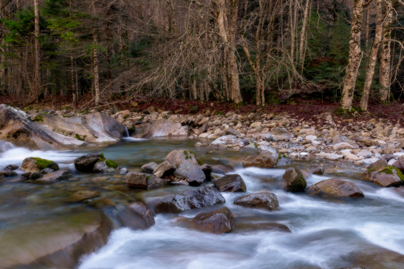 Español: un arroyo de agua clara fluye entre rocas cubiertas de musgo en un bosque con árboles desnudos y suelo cubierto de hojas. El agua se ve sedosa por el efecto de larga exposición, creando una escena tranquila y natural.

English: a clear stream flows between moss-covered rocks in a forest with bare trees and a leaf-covered ground. The long-exposure effect makes the water look smooth and silky, creating a calm and natural scene.
