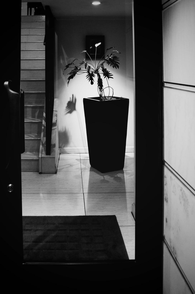 A view through a glass door into the entrance of a restaurant which is at the top of stairs on the left. The lobby contains a large potted palm-like plant. A single upper leaf is caught by an over head spotlight. Other leaves cast shadows on the back wall and in the tile floor around the tall, tapering pot which is wider at the top than the base. 