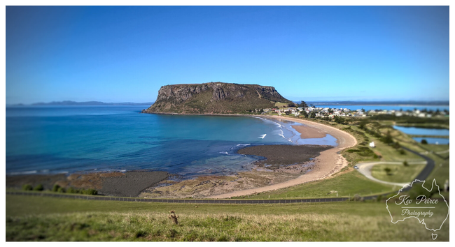 A wide angle, tilt shift style photograph showing a panoramic view of The Nut (a flat-topped, ancient volcanic plug) and the surrounding coastline in Stanley, Tasmania.

The sheer, grassy cliffs of The Nut dominate the centre, overlooking a crescent shaped sandy beach, turquoise ocean water, and a small town. The foreground is a grassy hill leading down toward the beach road.