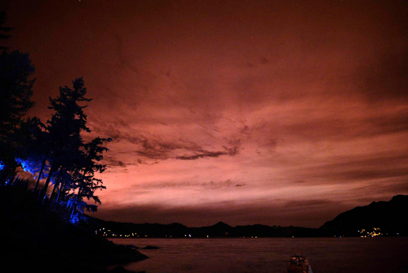 A sepia sky with fields of grey and pink amidst clouds. To the left, the underside of some evergreens is lit in stark blue.