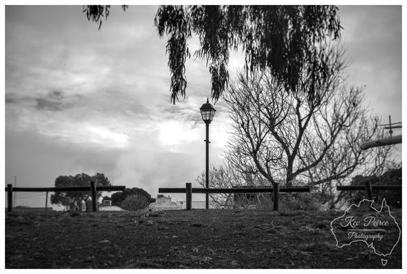 Black and white photograph taken from a low angle, showing a solitary, classic style lamp post centered on a grassy, slightly elevated patch of ground.  In the foreground, there are low wooden fences. Above the lamp post, the drooping foliage of a large tree hangs down from the top center, contrasting with a bare, skeletal tree to the right.  The sky is overcast and dramatic. A small building is visible in the middle distance behind the lamp post.