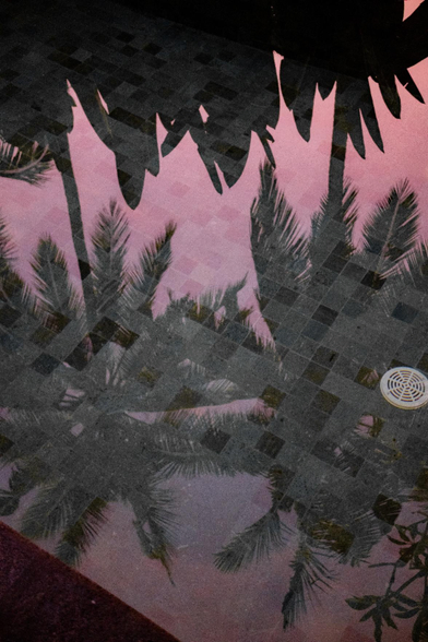 A reflection of a palm tree is visible in the pool.