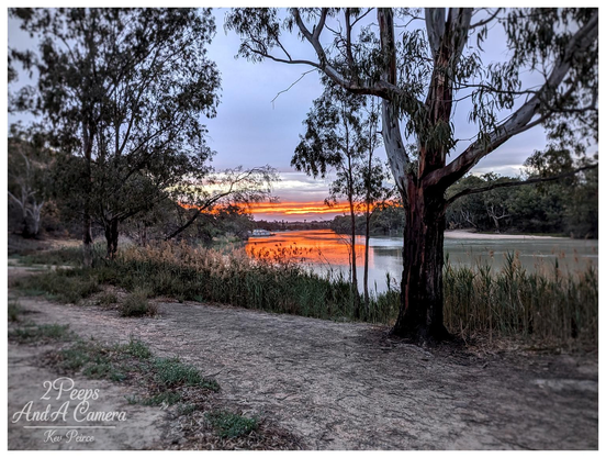A vivid sunset view across a calm stretch of the Murray River, in Loxton, South Australia.

The sky and the water are painted in brilliant oranges, reds, and yellows, creating a glowing band of light between the dark silhouette of the distant bank and the foreground.

On the right, a large, thick trunked gum tree dominates the frame, next to a dusty path and tall reeds, adding depth and shadow. (Photo by Kev Peirce)