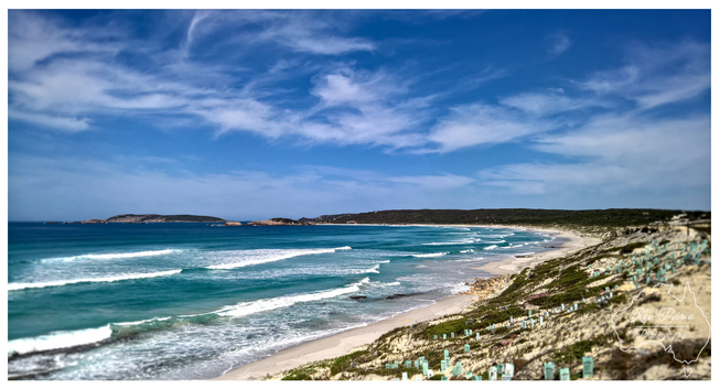 A wide angle landscape photograph of a pristine, white sand beach under a dramatic, cloudy blue sky.

On the left, tall sand dunes covered in sparse coastal grasses lead up to a small, dark pine tree.

The wide stretch of beach curves into the distance, meeting the turquoise water of the ocean, which has gentle waves rolling in.