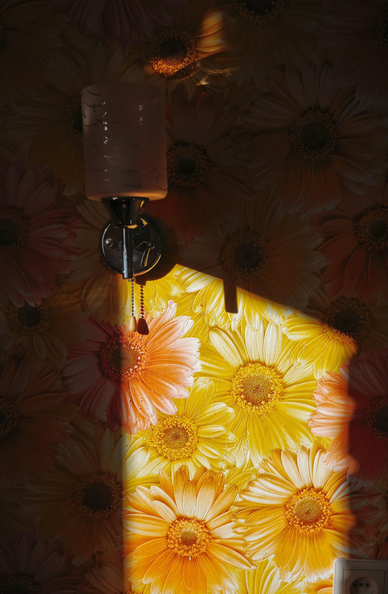The light from the window falls on bright yellow wallpaper with a floral print. There is a wall lamp on the left side, at the top.