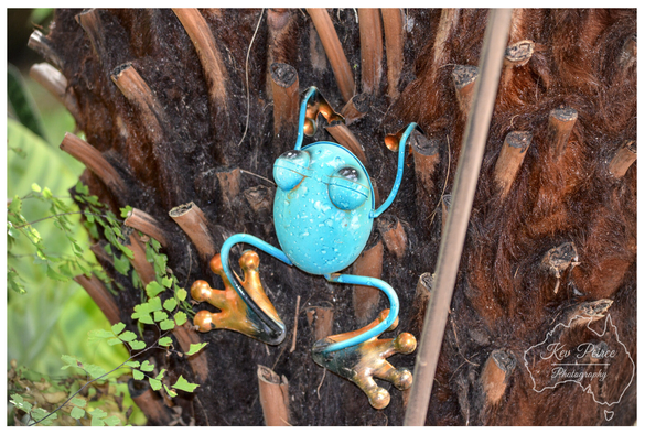 A close up photograph by Kev Peirce of a garden ornament: a small, brightly colored tin frog painted in speckled turquoise blue with metallic copper/orange feet.  The frog is resting on the rough, dark brown, fibrous trunk of a palm or fern tree. Small green ferns are visible on the left.