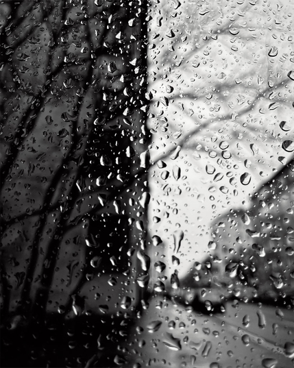 Raindrops cling to the glass wall of a bus stop, creating a blurred view of trees and buildings in a monochromatic street scene.