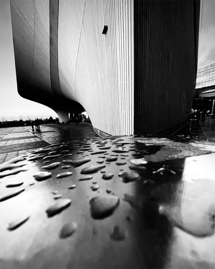 A close-up view of a wet surface reflecting the unique curved facade of the Oodi library in black and white.