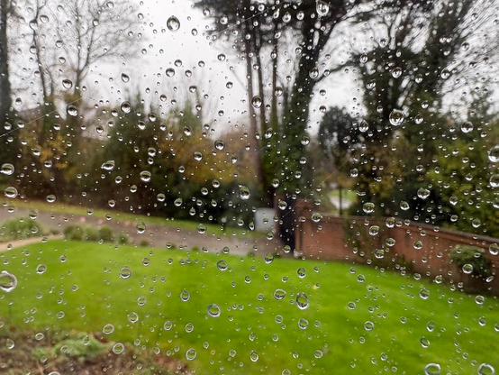 A photo taken through a window that has raindrops on it that overlooks a lawn and autumnal plants and trees.  