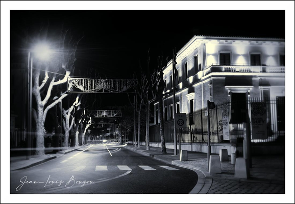 The image captures a quiet urban street scene at night, rendered in striking black and white tones. The lack of color draws attention to contrasts and shapes, creating a timeless, almost cinematic atmosphere. The street, devoid of any vehicles or pedestrians, enhances the feeling of solitude and calm.
On the left side, bare trees line the sidewalk, their leafless branches reaching up like skeletal fingers into the night sky, illuminated subtly by a lone streetlamp whose light casts a gentle glow and softens the shadows. Suspended above the road is a pedestrian bridge or walkway, delicately outlined yet blending into the darkness, adding depth and an element of architectural interest.
The right side presents a stately building, its facade accented with neat, bright lighting that highlights its classical lines and symmetrical windows. The lights emphasize the building's formality and solidity, making it a bright focal point amidst the quiet surrounding shadows.
The clean road markings, including an arrow and crosswalk, suggest this is a well-maintained urban area, but the absence of activity hints at a late hour or a moment frozen in time.
Symbolically, the image may evoke themes of isolation, stillness, or introspection, often found in nocturnal cityscapes. The stark contrast between light and dark, nature and structure, emptiness and form, invites a contemplative mood, encouraging viewers to reflect on the quiet beauty often hidden in everyday urban environments at night.

