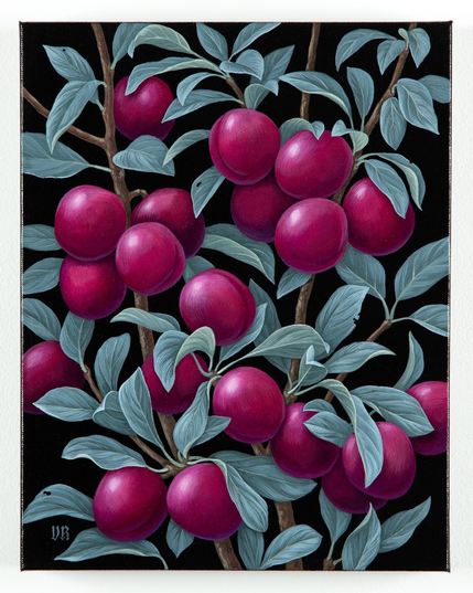 A detailed botanical illustration featuring clusters of purple plums surrounded by green leaves, set against a black background.