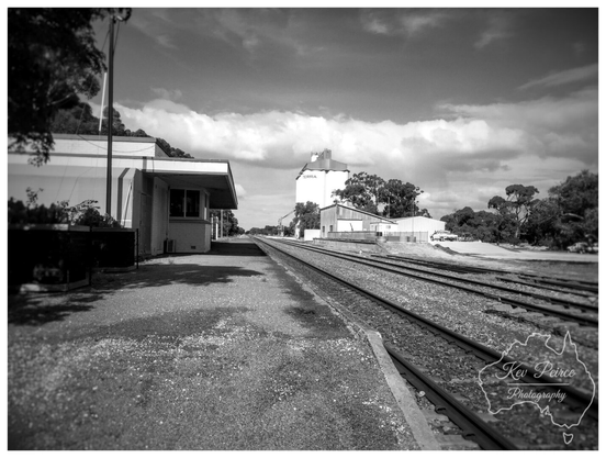 A black and white, wide angle photograph by Kev Peirce of the Tintinara railway station in South Australia.  The image shows the train tracks extending into the distance on the right, parallel to a gravel platform on the left, which features a small, simple station building.  In the background, beyond the tracks and trees, a tall grain silo with the word 'VITERRA' faintly visible stands under a cloudy sky.