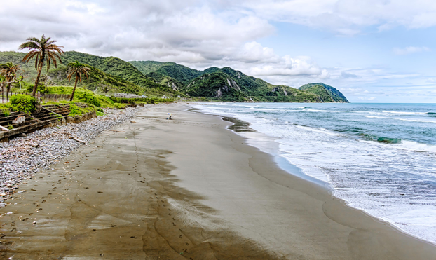 Beach lined with palm trees and green hills with a lone fisher sitting under an a umbrella.