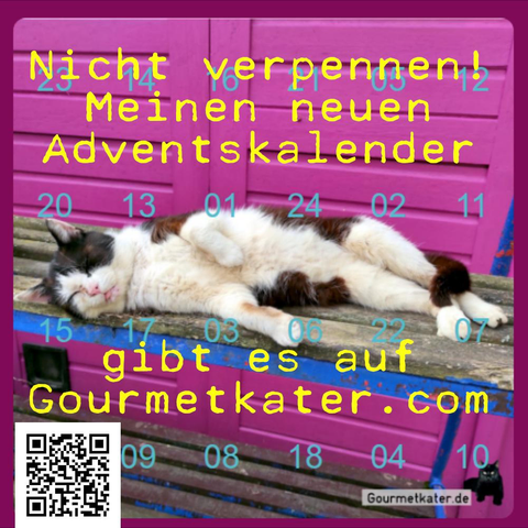 schlafender Kater
