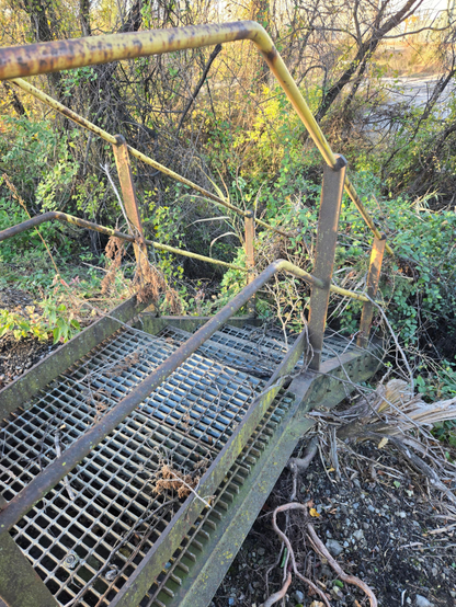 Photograph of an old metal staircase going down the side of a hill into a gulley. The staircase is very rusty and the entire slope down into the gulley is covered in brush and plant-life. The gulley itself is also full of various shrubs and trees. The staircase is very overgrown.