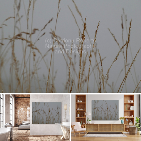Above coloured photograph featuring the design-

 Scottish Highland Silent Mist.

 Lower left design on a Canvas Print on a bedroom/bathroom wall. 

Lower right design on a Canvas Print on a wall above a living room unit.

I took this photo on a very misty autumnal morning in the Scottish Highlands. 

Features tall, thin grass rising against a muted, foggy background. 

The simplicity of the composition creates a serene and tranquil atmosphere. 

Mockups combined in a grid format in canva.com 

Click links on the main post for options.
