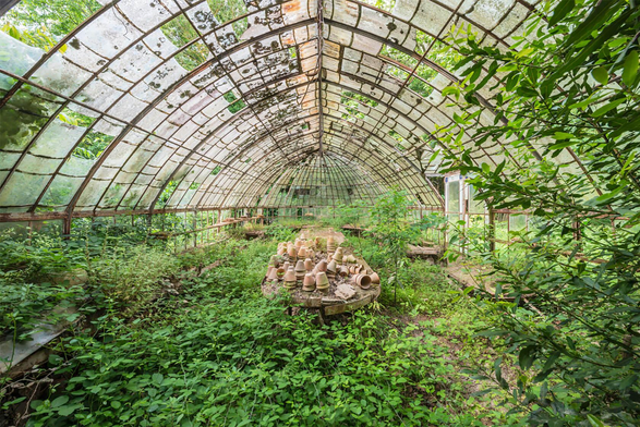 An overgrown greenhouse with cracked glass, featuring a table of terracotta pots among dense green plants and vines.