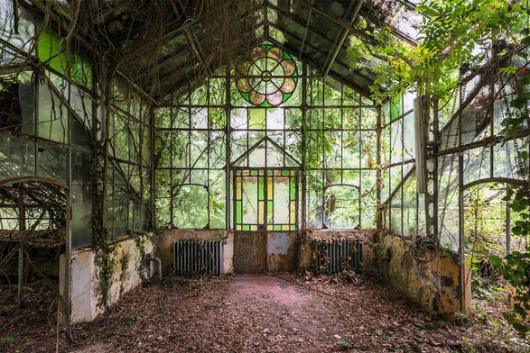 An abandoned greenhouse overtaken by lush vines and leaves, featuring a stained glass window and dusty, leaf-covered ground.