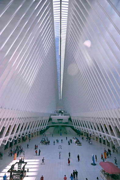 An atrium made of tall, white metal beams which converge on a thin, long skylight, standing over a massive floor space. A bright sunny sky is shining through the skylight.
