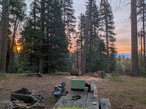 Rustic camp. Shows runset through caps in tall old-growth pins. In the forground is a wooden Forest Service table with a camp stove on it.