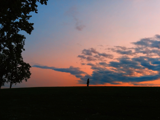 silhouette of a couple against the evening sky, standing in an open field watching the sunset.