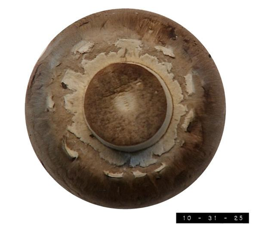 Bottom view of a Canada-grown True Goodness-brand whole mini-bella mushroom that I bought at the grocery.  I rather like mushrooms (or "fun fungi" as I prefer to call them).  My sister, on the other hand, is terrified of the things.  She's convinced that every single one is a deadly poisonous fiend just waiting to kill her.  I don't know why.  I've never read a story about a store-bought mushroom killing, assaulting, or even insulting anybody.  Perhaps she still has bad memories of the time I tried to grow them myself when we were young.  I admittedly didn't do a very good job.  No matter how hard I tried, I just couldn't keep my pants wet enough.  Maybe I'll try again next year, succeed, and finally win her over!  Or maybe I'll just buy her a bag of chips and call it a day.  That would probably be easier on my pants . . . .            