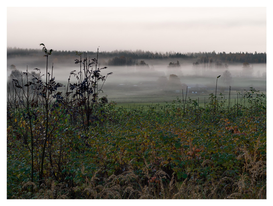 En liggande bild på ett landskap inhöljt i dimma. I förgrunden buskar och i dimman hus och träd. Bakgrunden består av skog.