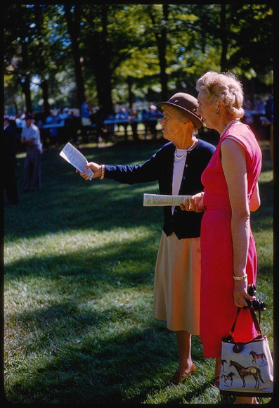 Two women are standing in a park, one is pointing at something while holding papers and the other woman looks on. The older woman has short hair and wears earrings, necklace, bracelet, watch, sunglasses, red dress with white belt and shoes, beige skirt, dark blue cardigan sweater over a light pink blouse, brown hat, and holds a purse decorated with images of horses and riding equipment. She also carries binoculars in her hand as she looks at something off-camera to the right. The younger woman wears glasses on top of her head, has blonde hair styled up, pearl earrings, necklace, watch, red dress over beige skirt, brown hat, holds a purse decorated with images of horses and riding equipment, and also carries binoculars in her hand as she looks at something off-camera to the right.