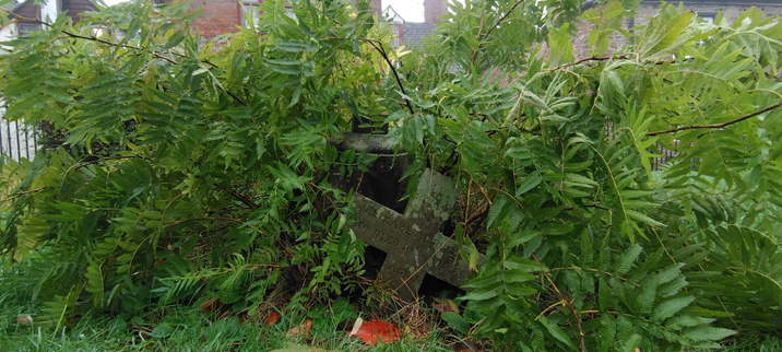 A cross, broken off from a gravestone marker, sits in front of said marker. The entire area is covered in greenery. It's extraordinarily green for November!