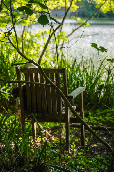 A chair with a model skeleton just about visible within it faces towards a large lake. The chair and the lake are surrounded by greenery and trees.