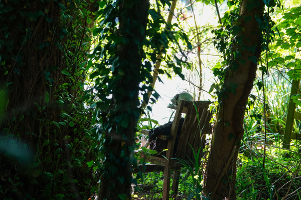 A chair with a model skeleton sitting in it is surrounded by trees and other greenery. Beyond is very bright, light falling upon the skeleton's face.
