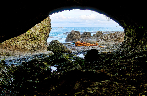 View from the inside of a cave at rock formations, the Pacific, and a big chunk of driftwood.