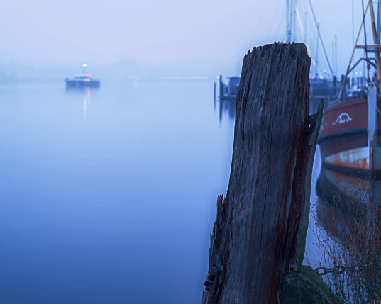 Im Vordergrund rechts erhebt sich ein alter Holzpoller, dahinter rechts am Kai ein alter Haikutter. Links erstreckt sich die spiegelglatte Flensurger Förde in den Bildhintergrund, wo ein Küstenwachschiff im Dunst eines frühen Morgens einläuft. Das Toplicht ist gesetzt und das rote Backbordlicht ist auch gut zu  erkennen. Im Hintergrund sind ganz schwach die Umrisse von Gebäuden zu sehen. 