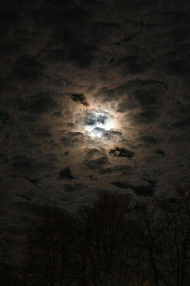 The photo shows a full moon illuminating the clouds around it. Below, you can see the silhouettes of tree crowns.