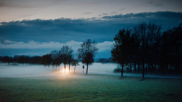Nebel-Landschaftsaufnahme. In der Mitte sieht man das gelbe Scheinwerferlicht eines Autos, welches im Nebel versunken ist. Rechts sind Bäume, die die Straße säumen, unten eine Wiese und oben dunkle Wolken