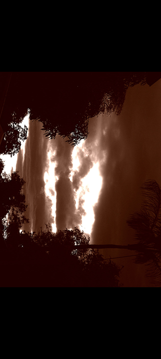 The photograph is a Sunset in Sepia 
in Suriname