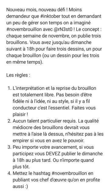 Screenshot du texte de présentation de #novembrouillon