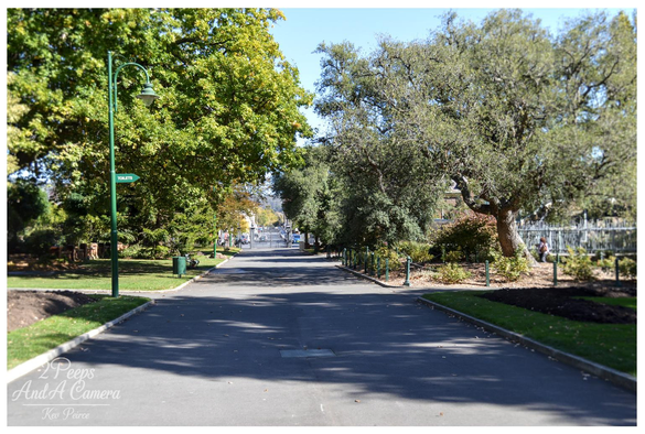 A wide, paved pathway extends into the distance between two large, leafy groves of trees in Launceston's City Park on a bright sunny day.

On the left, a tall green lamp post features a sign pointing left with the word "TOILETS." The ground is covered in manicured grass and garden beds.