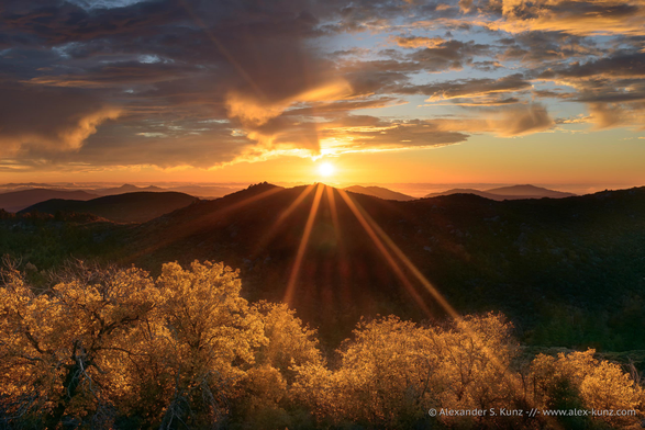 A color landscape photo in which the sun is in the center of the frame and about to set behind a series of mountain ranges that are in deep dark shade. In the immediate foreground, the foliage of deciduous trees is backlit by the sun's warm light, glowing yellow and orange. Clouds in the sky are illuminated from below by the low sun.