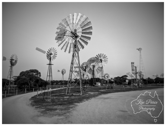 Black and white photograph capturing a cluster of traditional metal windmills of various sizes on an open, slightly elevated grassy field.

A dirt track curves into the foreground from the left. The scene is set against a pale sky, with trees visible in the mid-ground.