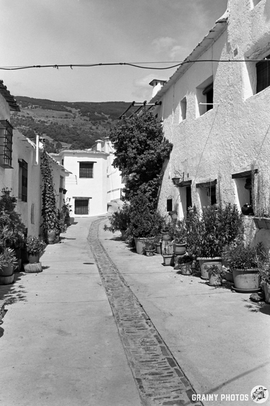 A narrow, empty street in Capileira is lined with whitewashed buildings. Potted plants decorate the entrances, and a mountain ridge rises in the background under a partly cloudy sky. The image is in black and white.