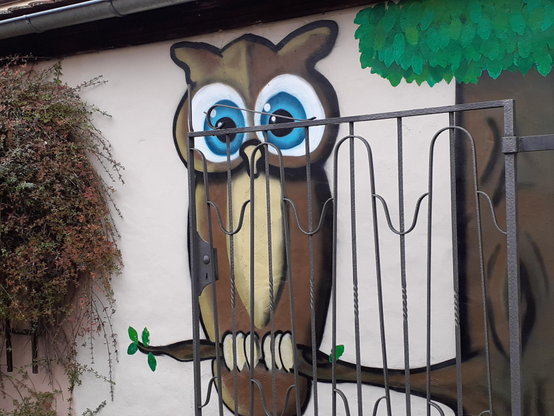 #Tür #door #porte #puerta #porta 
#Bamberg #Frankonia #Germany 
#photo #photography #photos 
#pictures #picture #photographie