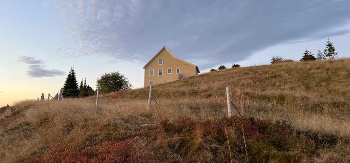 A sunrise view of a house on a dried grassy hill in fall colours, with trees on the horizon line on both sides of the house. A rough fence in the foreground mirrors the hill’s slope, but descends as the hill ascends. The yellow house is in the centre of the photo, and the sky above has shades of blues and greys with high clouds, but fades to an orangey yellow heave the left edge of the image. [Port Rexton (NL, Canada) October 2025]