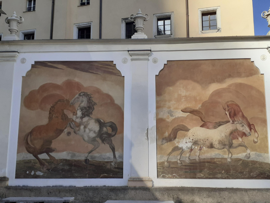 #Salzburg #Austria 
#photo #photography #photos 
#pictures #picture #photographie  