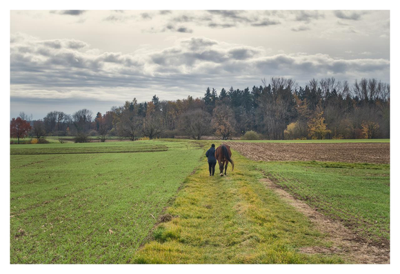 A serene rural landscape in autumn. In the foreground, a narrow dirt path runs straight ahead, bordered by vibrant green grass fields on the left and a freshly plowed brown earth field on the right. A person, dressed in a dark jacket and pants with a hat, walks away from the viewer along the path, leading a brown horse by a rope. The horse follows closely behind, its tail swishing gently. In the distance, a line of trees with mixed foliage in shades of green, yellow, orange, and red stretches across the horizon, under a vast sky filled with soft, gray clouds. The overall mood is peaceful and contemplative, evoking a sense of solitude in nature.
