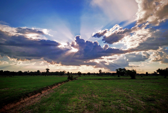 Photo shows several dramatic clouds mixing with sun rays in different colours and visible sun rays in an early afternoon sunset with lots of shades of blue. It is over rice fields green and rich, with ditches and dykes making lines in the photo. In the background there is a tree line marking the border of the rice field. And the horizon line for the sky. A couple of trees are here and there on top of some of the dykes. Cambodia is as safe, comfortable and kind as ever. Angkor and Siem Reap warmly welcomes visitors.