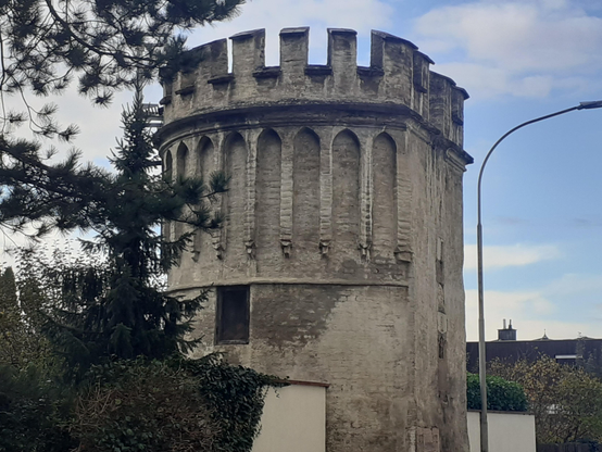 #Lauingen/Donau #Bavaria #Germany
#photo #photography #photos 
#pictures #picture #photographie